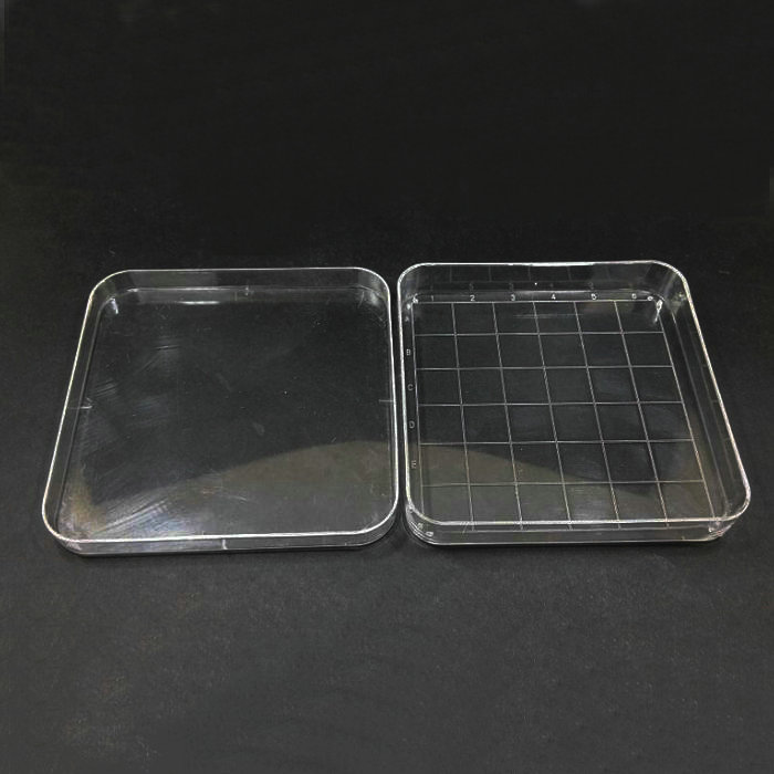 10Pcs Clear 10*10Cm Geschaald Vierkante Plastic Petrischaal Met Deksel, Cultuur Schotel