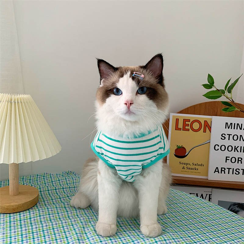 Spring Cat Clothes Pet Clothing for Small Cats Dogs Cat Costumes Soft Kitten Kitty Coat Jacket Puppy Clothes Outfit Mascotas