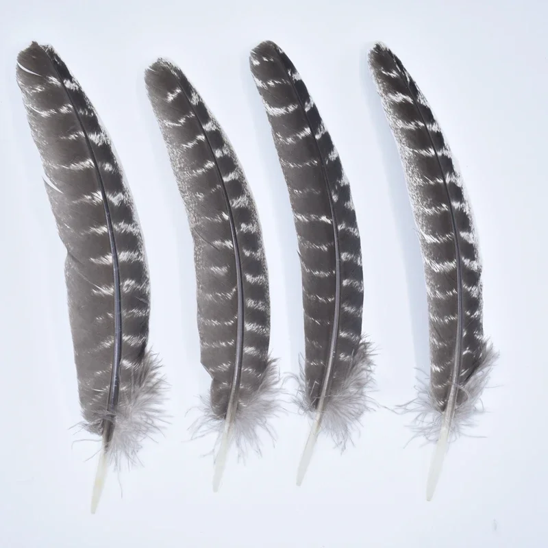 10 Stück echte natürliche Türkei Feder Adler Vogel Federn für Handwerk Dekor Karneval Federn Hochzeit Handwerk Zubehör Dekoration
