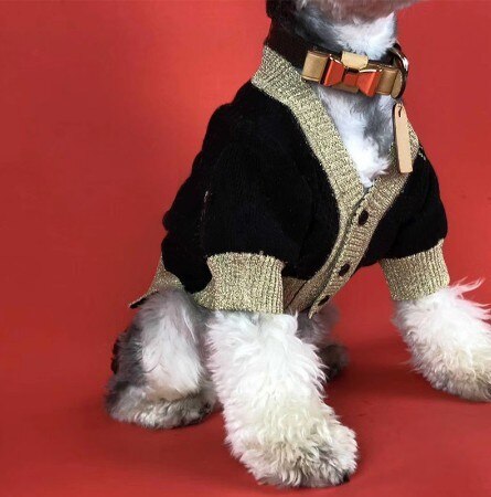 Hond Trui Golden Huisdier Casual Outfit Kostuum Mode Vest Trui Gebreid Voor Honden