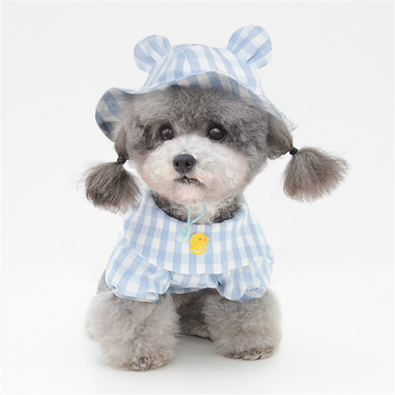 Hond Shirt Hoed Outdoor Reizen Huisdier Kleding Yorkshire Chihuahua Poedel Bichon Pommeren Schnauzer Huisdier Cap Kostuum Outfit: Blue Shirt and Hat / XXL