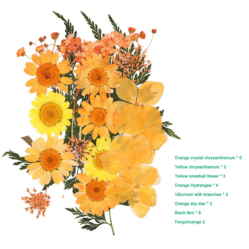 Bra hälsosam pressad blomma blandade torkade blommor gör-det-själv konst blomdekor samling hantverk gör-det-själv