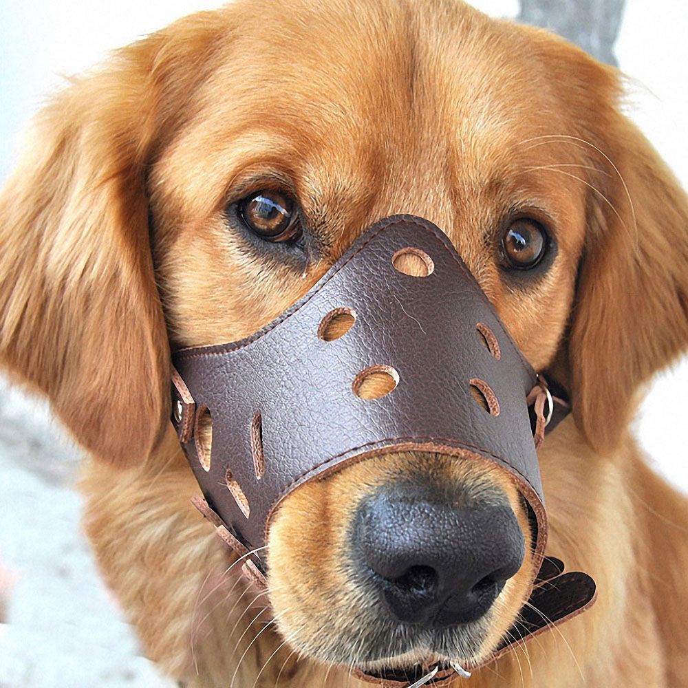 Verstelbare Lederen Muilkorf Anti Bark Bite Kauwen Hond Training Huisdier Producten