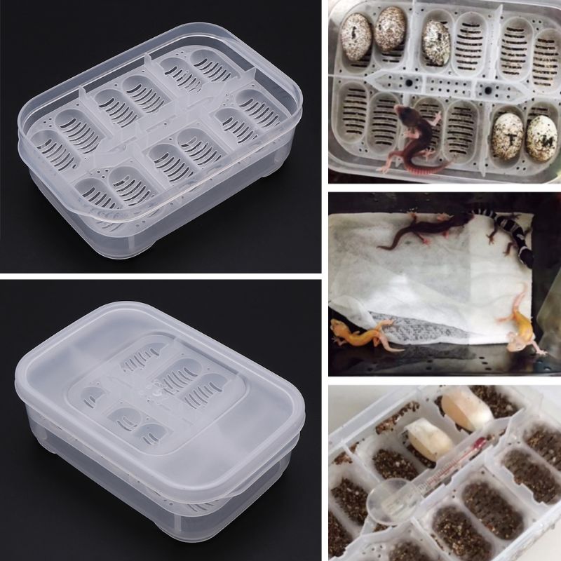 Incubadora de 12 rejillas para trepar de tortugas y mascotas, caja de incubación para reptil lagarto de serpiente, Bandeja para Huevos, dispositivo para eclosión
