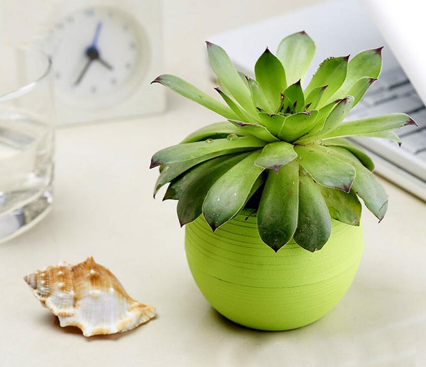 7x6.5 cm Leuke Ronde Thuis Tuin Kantoor Decor Planter Plastic Plant Bloempotten