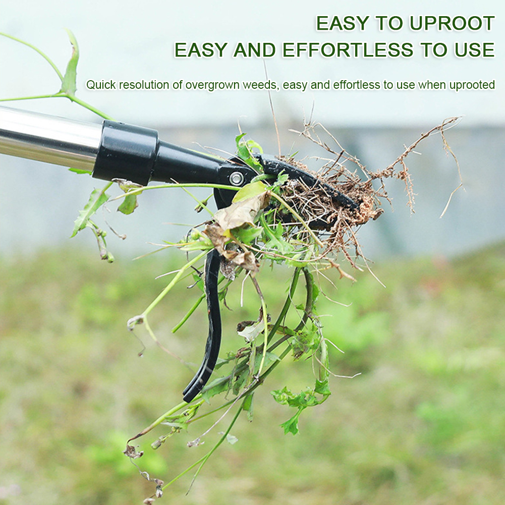Opstaande Onkruidtrekkers Met Afneembaar Handvat Arbeidsbesparende Plantaccessoires Voor Tuinliefhebbers
