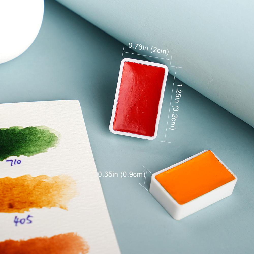 Paolo Rubens 24 Colori Acquerello Solido Vernice Pieno di Dimensioni padella impostato con La Scatola Mentale Adatto per Gli Studenti e I Principianti