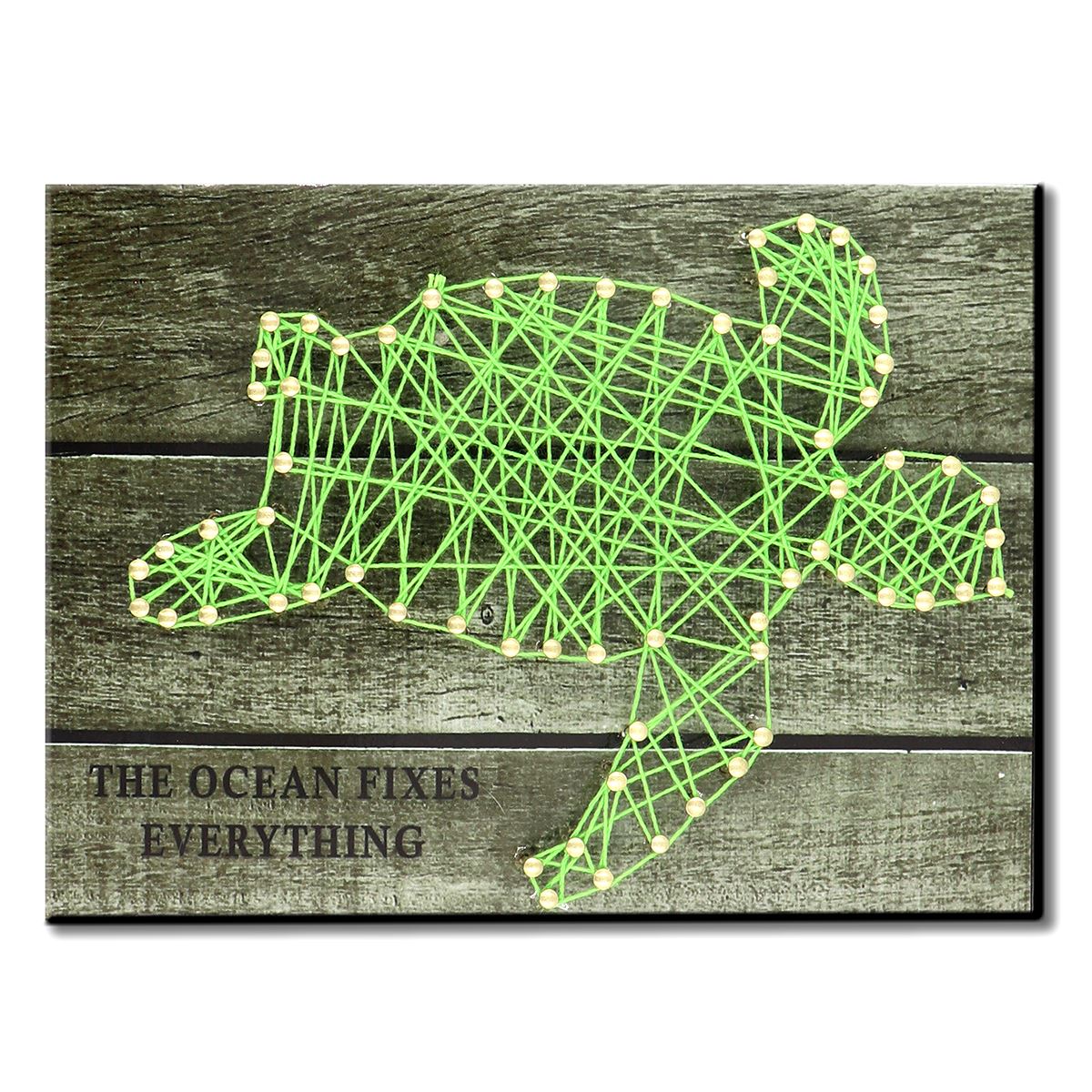 DIY String Art Kit String Art On Board Sea-Turtle Pattern 3D DIY Nails String Art Kits: 3