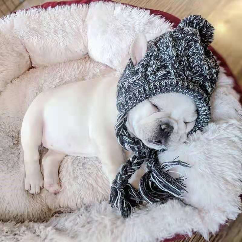 Gorras para perro Bulldog francés Pug, oso, gatito, cachorro, gorro de lana de punto, suministros para perro mascota, productos para invierno
