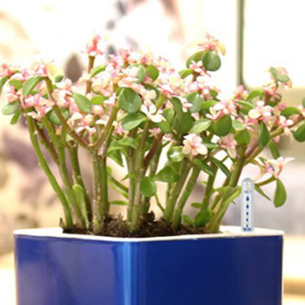 Water Level Indicator self-Watering Planter eco-Friendly Flower Pot Decorative