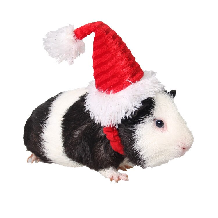 Jul lille dyr hamster hat vinter varm marsvin kanin chinchilla hat kappe kæledyr grooming tilbehør: Default Title