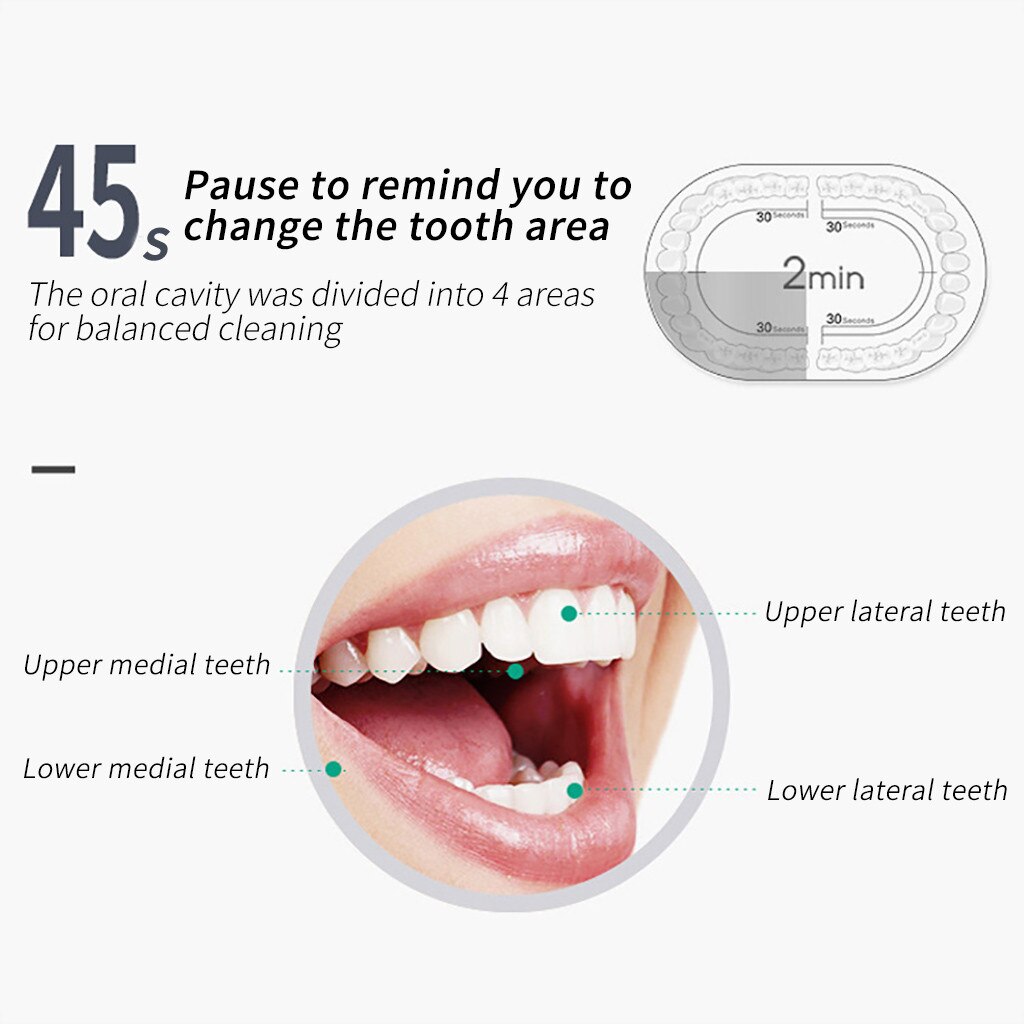Smart Electric Sonic Adult Electric Toothbrush U-shaped Elektrik Ultrasonik Pengisian Waterproof Whitening Tooth Cleaner