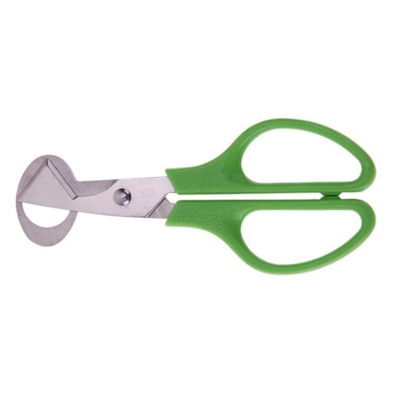 1Pc Bird Duif Kwarteleitje Schaar Topper Metalen Rvs Shell Cutter Opener Slicer Clipper Cracker Keuken Accessoires