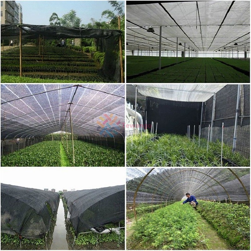 Tewango 3MX4M Black Sunshade Net Encryption Thicken Outdoor Garden Balcony Heat Insulation Shading Cover Flower Plants Netting