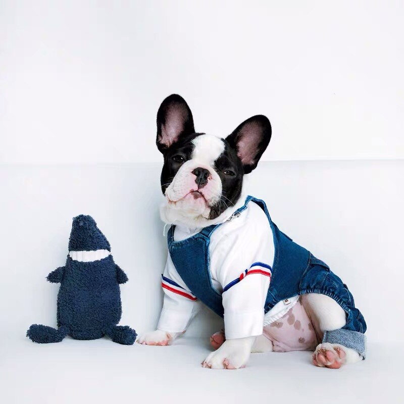 Monos de Bulldog Francés Demin, ropa de perro mascota cálido para cachorros pequeños y medianos, ropa para perros Schnauzer, SBC01