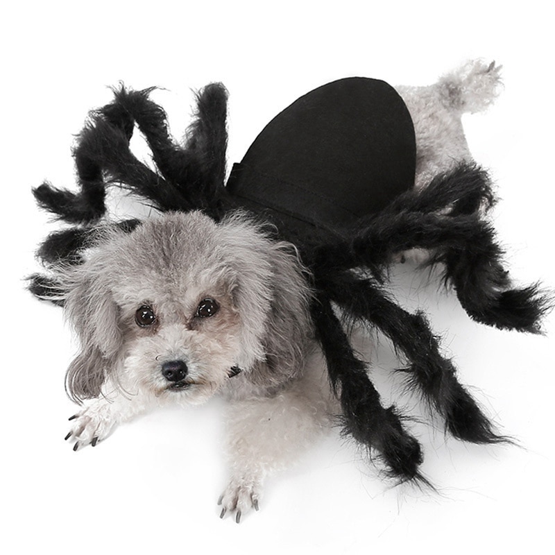 Halloween Huisdier Spider Kleding Puppy Pluche Spider Cosplay Kostuum Voor Honden Katten Party Cosplay Grappige Outfit Simulatie Zwarte Spin