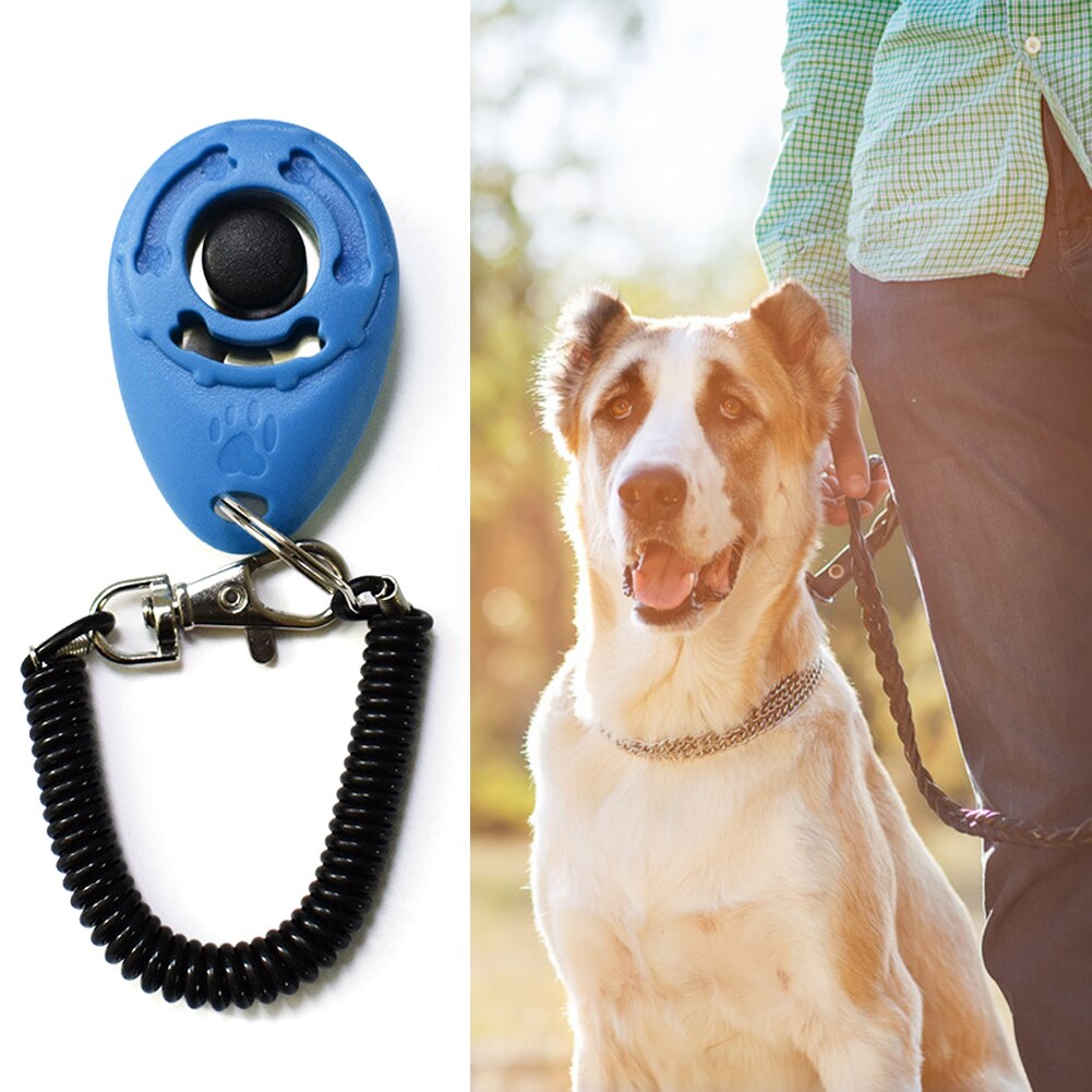 Correa de policarbonato para perros, accesorio de entrenamiento para perros y mascotas, Perro inteligente, 1 unidad