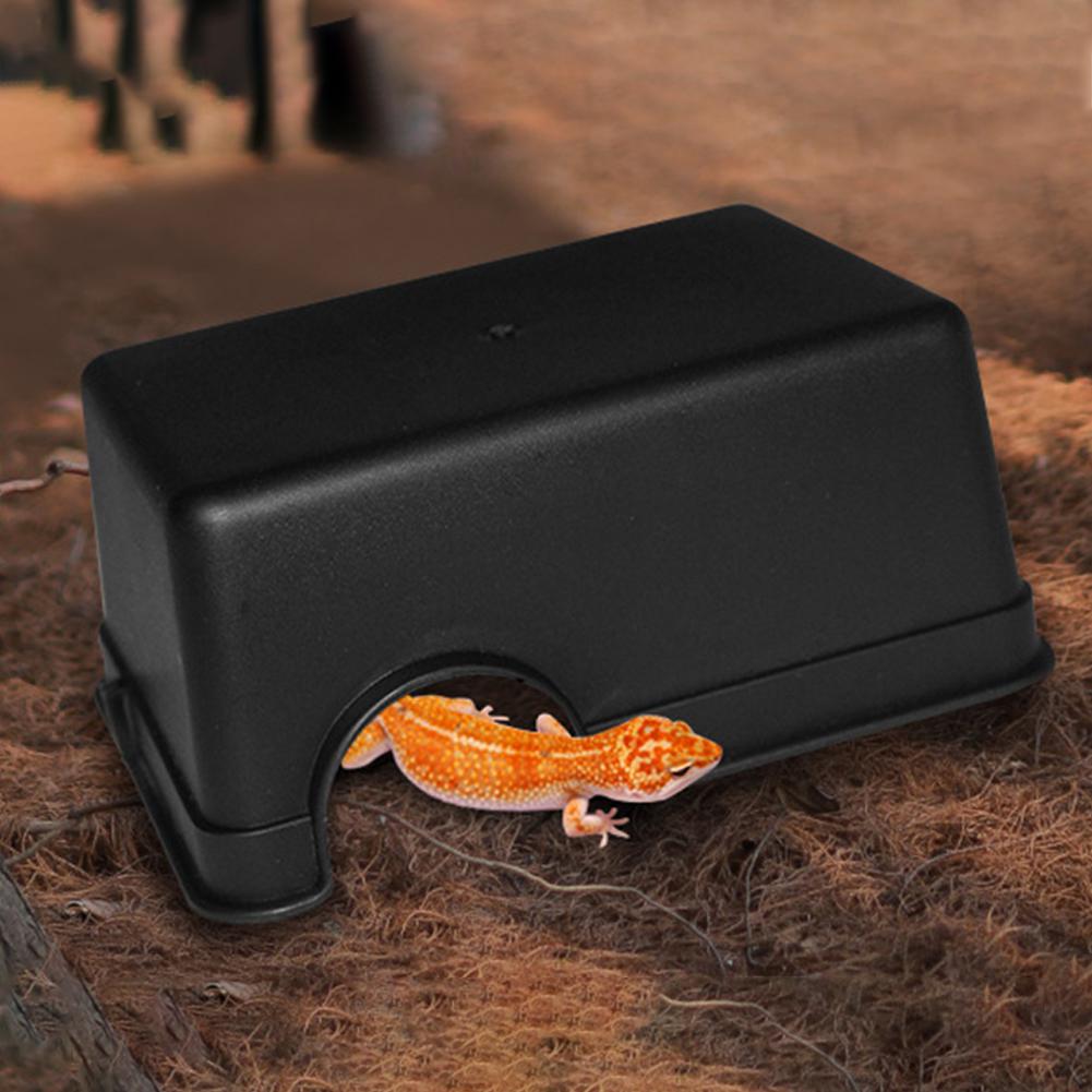 Petits Reptiles animaux de compagnie jouets Gecko serpent abri maison nourriture eau bol Cave escalade boîte