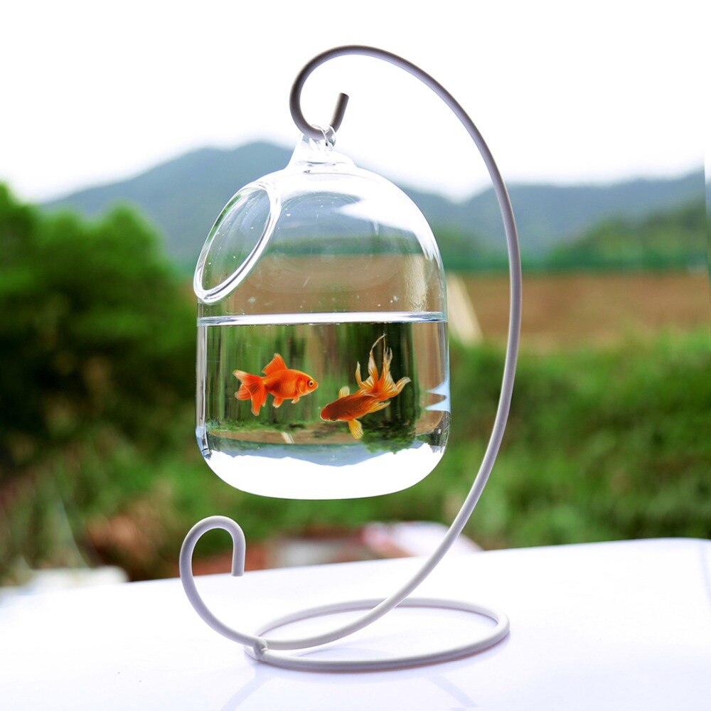 Clear 15cm Height Hanging Glass Aquarium Fish Bowl Fish Tank Flower Plant Vase with 23cm Height White Rack Fishbowls
