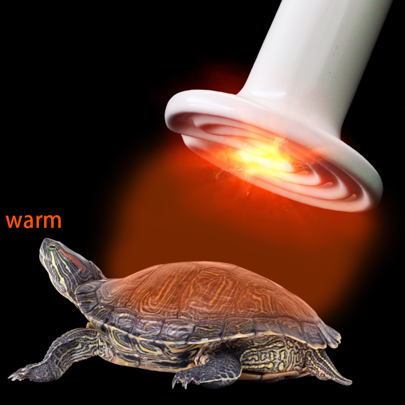 Lámpara de calefacción de cerámica infrarroja para reptiles, emisor de calor, Bombilla de cerámica de 220V, 25W, 50W, 75W, 100W, 150W, 200W