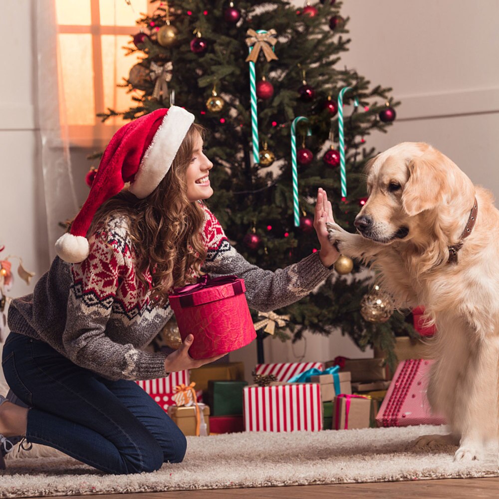 12pcs Candy Canes Ornaments Christmas Tree Hanging Decorations Party Favors