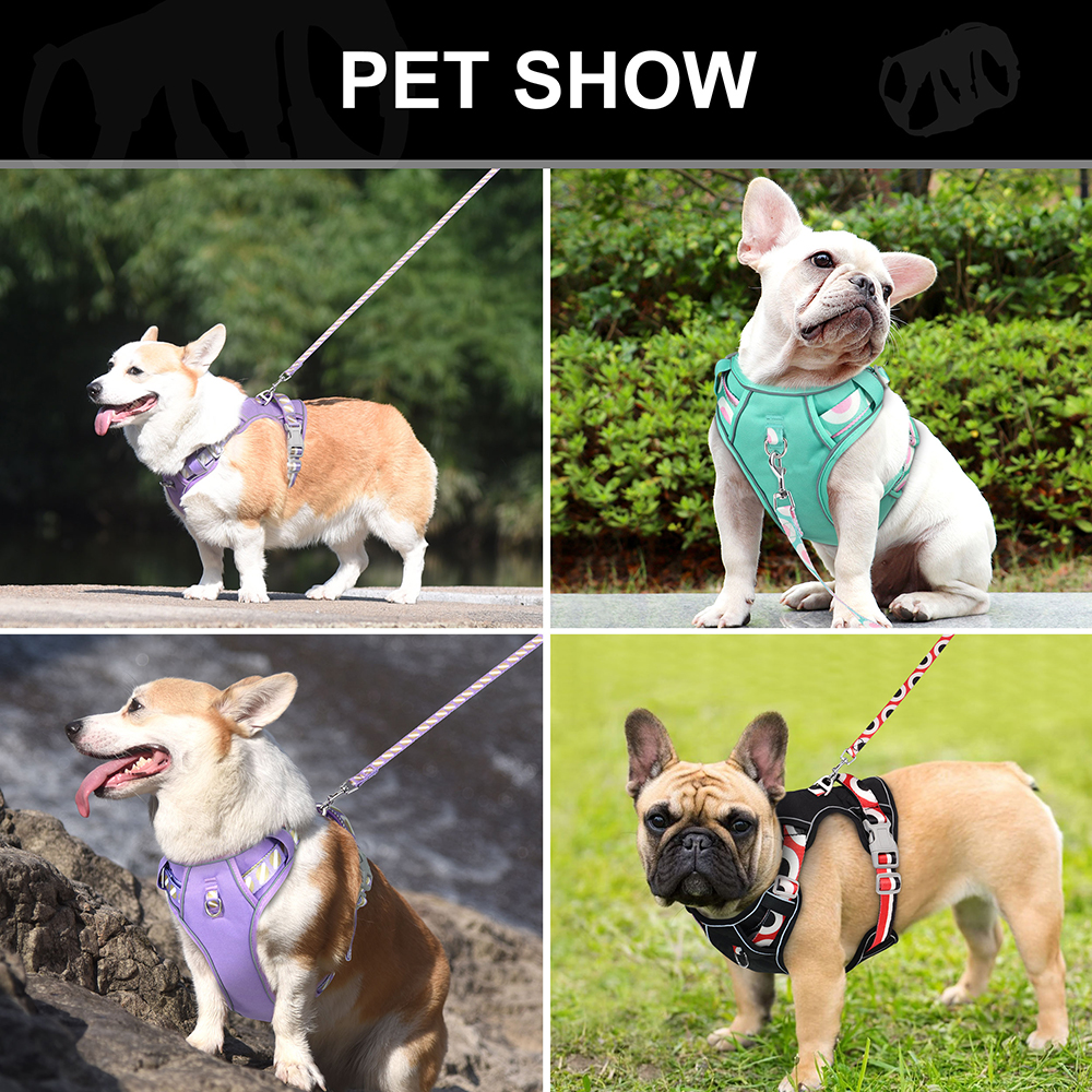 Laisse en nylon réglable pour chiens, ensemble de laisse SFP Casting, sans nervure, poignée de commande, laisse pour animaux de compagnie pour chiens moyens et grands