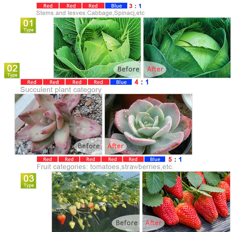 Pasteable Phyto Led Light strip Hydroponic Growth Light Led Grow Full Spectrum12V Red Bule Lamp Plant Flower Seedling Fitolamp