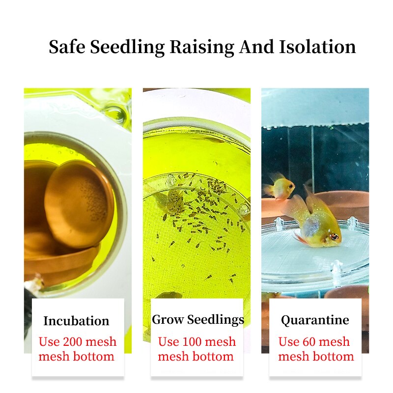 Suspended Fish Tank Breeding Isolation Box Transparent Acrylic Aquarium Incubator Multifunctional Spawning Room Fish Supplies