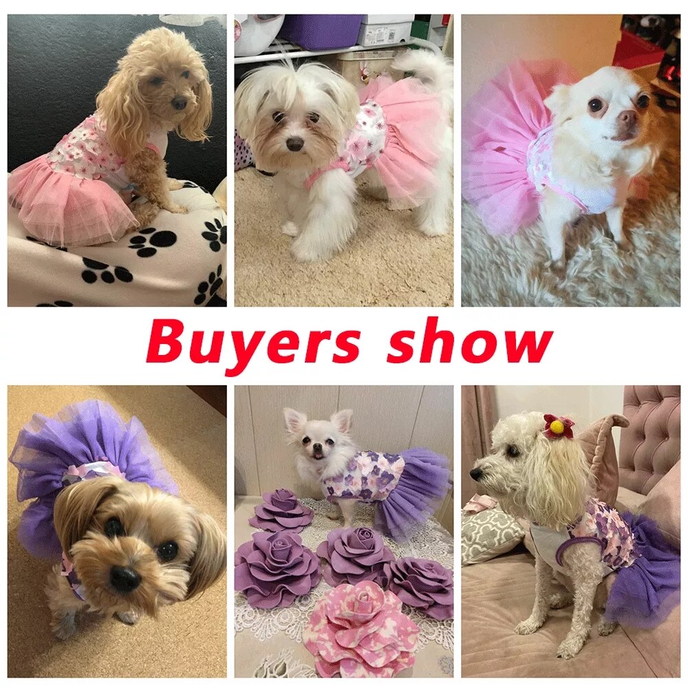 Lace Chiffon Dress for Small Dog Cat Lovely Floral Dress Pet Party Birthday Costume Dog Wedding Dress Cute Dog Clothes in Summer