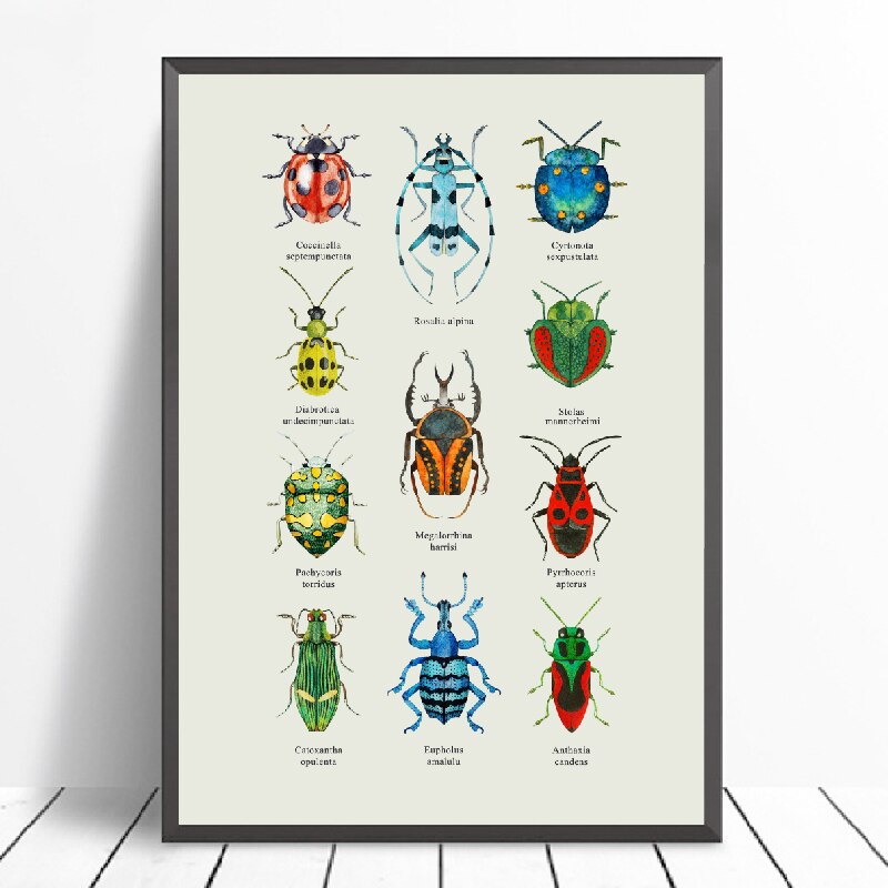 Kleurrijke Kevers Met Latin Namen Art Poster Prints Natuur Onderwijs Wall Art Retro Poster Kraftpapier: 21x30cm No Frame