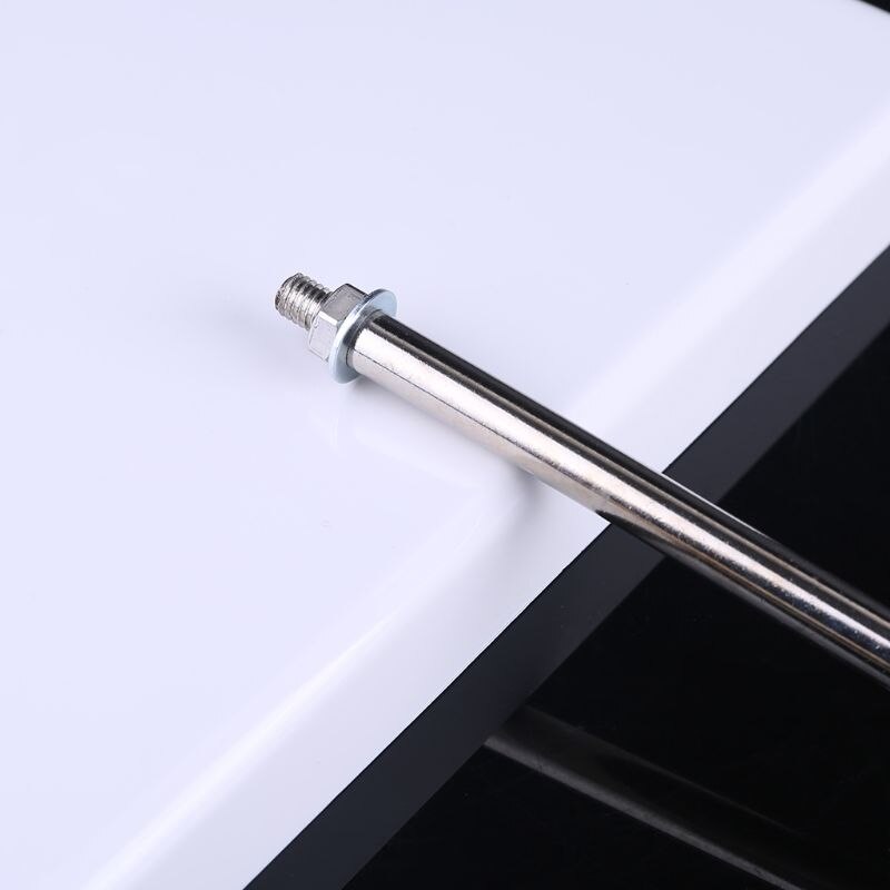 Hond Canine Lumbale Heup Joint Met Dijbeen Model Onderwijs Anatomie Skelet Display