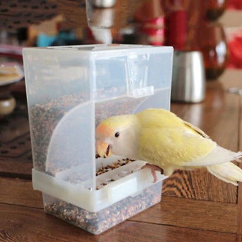 Plastic Bird Bathtub Bath Clean Or Feeding Food Water Box Poultry Automatic Acrylic Container Pigeon Splash Animal Pet Products