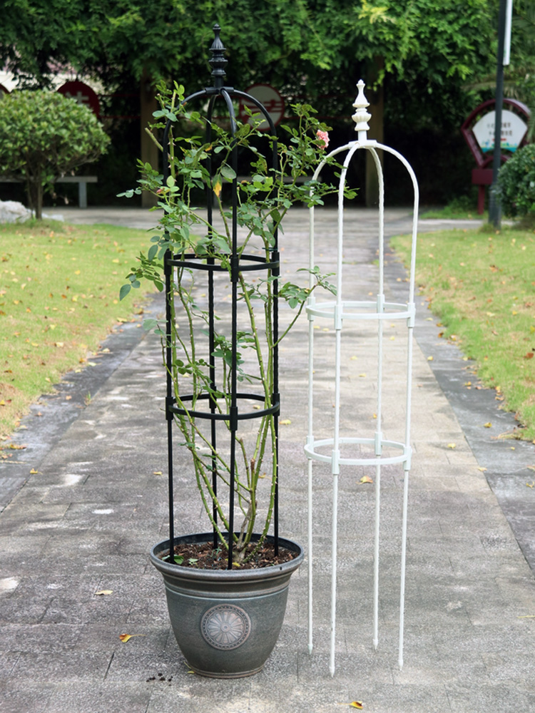 Metal Plant Climbing Frame, Outdoor Flower Stand, Trellis DIY, Tomato Vegetable Vines Plants Potted Support, Home Garden Decor