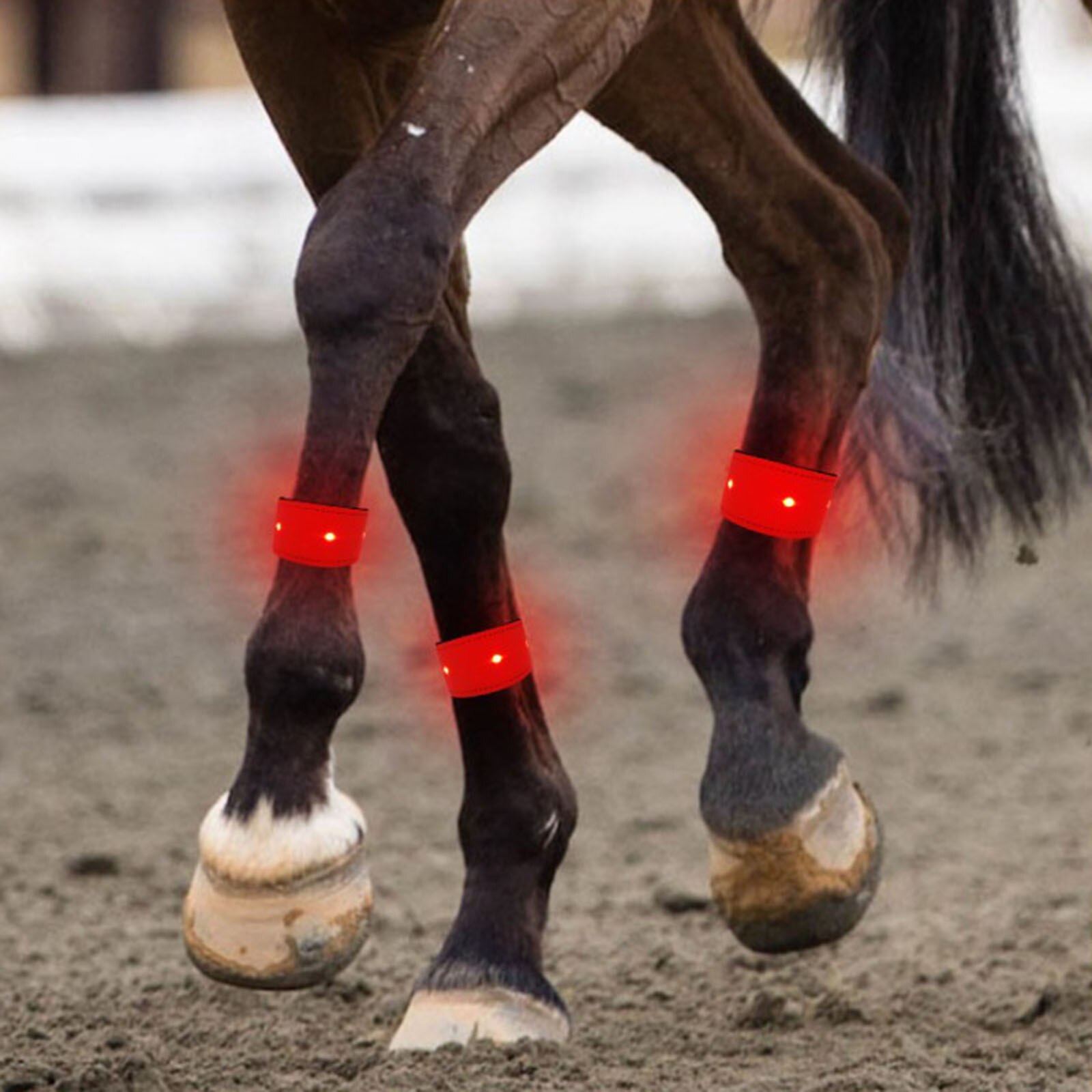 Paardensport Led Lichtgevende Paard Been Strap Veiligheid Waarschuwing Riemen Honden Katten Mannen Vrouwen