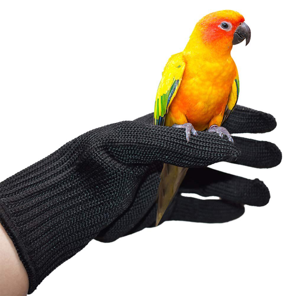 Parrot Anti-bite Gloves Pet Catching Bird Flying Parrot Training Wire Gloves Protect Hands Bird Training Supplies Protect Gloves