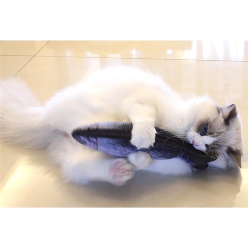 Fisk form katt leke bitebestandig kattunge tygge leke kattemynte kjæledyr leke kattunge tenner leke katt interaktiv leke kjæledyr trening leke
