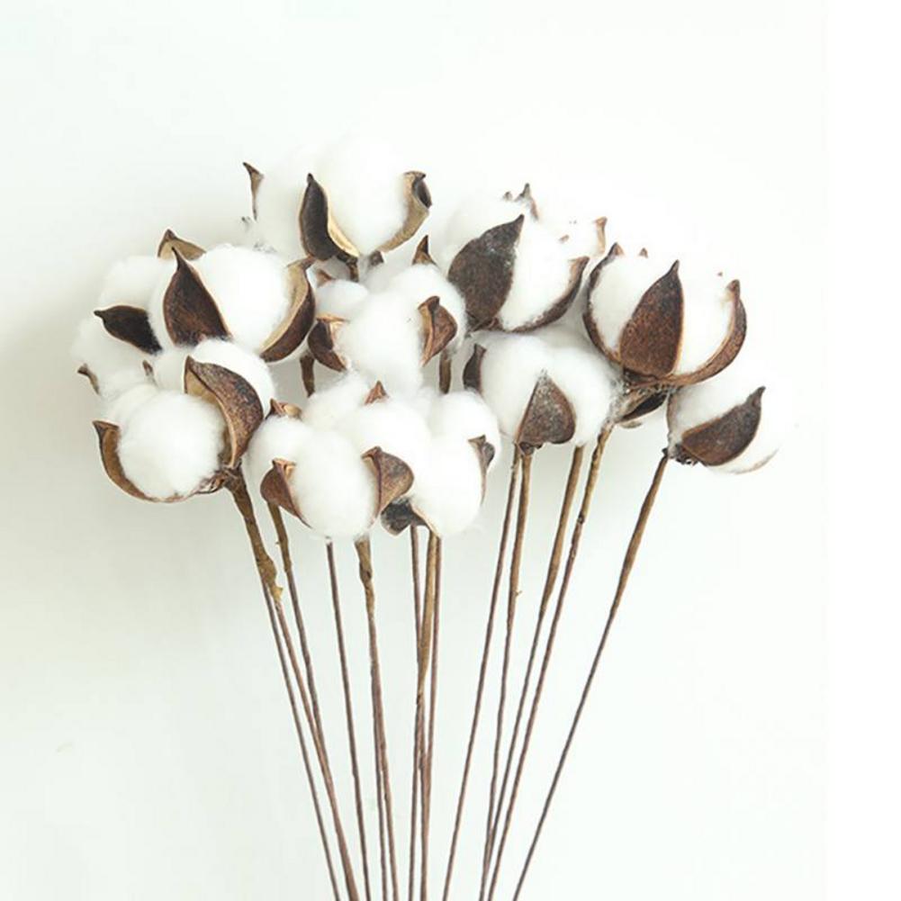 10Pcs Natuurlijk Gedroogd Katoen Bloem Kunstplanten Bloemen Korte Tak Voor Wedding Party Decoratie Nep Bloemen Home Decor