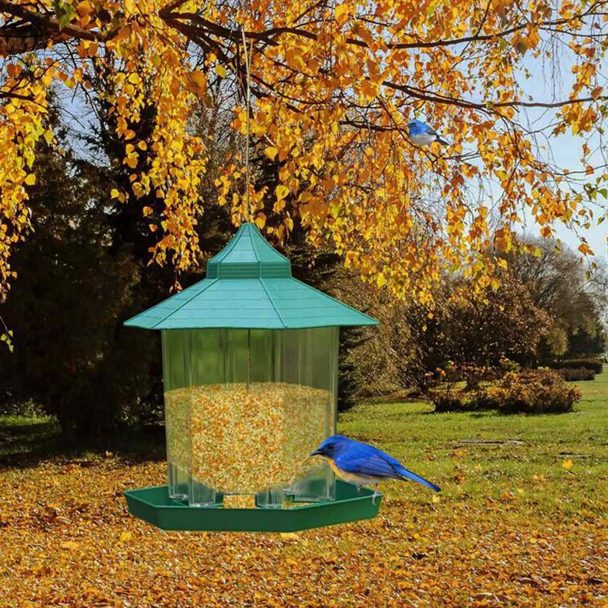 Wilde Vogel Feeder Outdoor Vogel Feeders Voedsel Container Opknoping Tuinhuisje Vogel Feeder Voor Tuin Decoratie