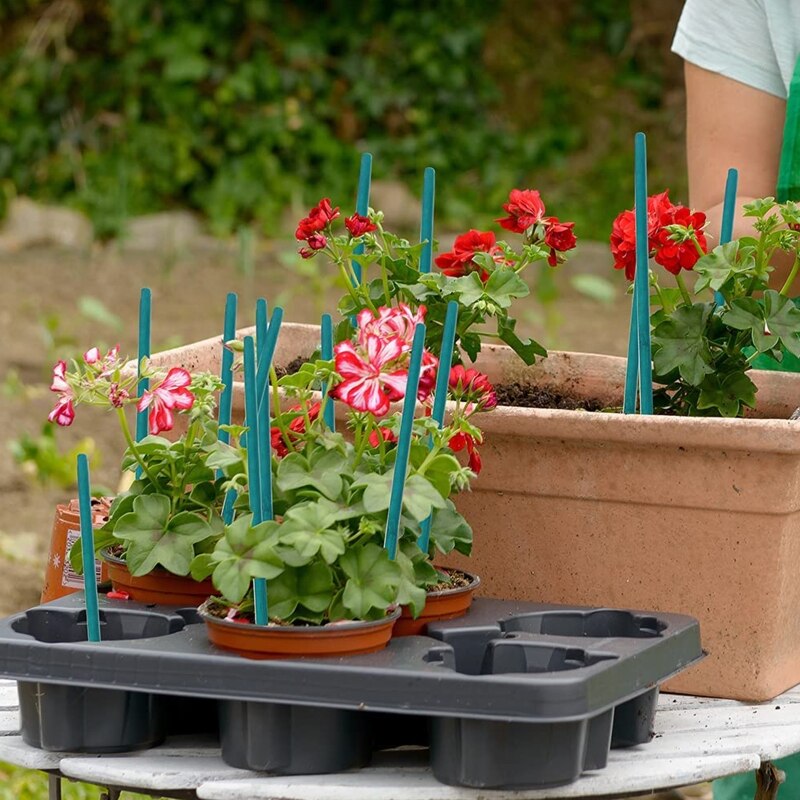 30 Pcs Hout Groene Houten Stokken Plant Stakes Bloemen Planten Ondersteuning Teken Posting Tuin Sticks Diy Plant Bloem Decoratie