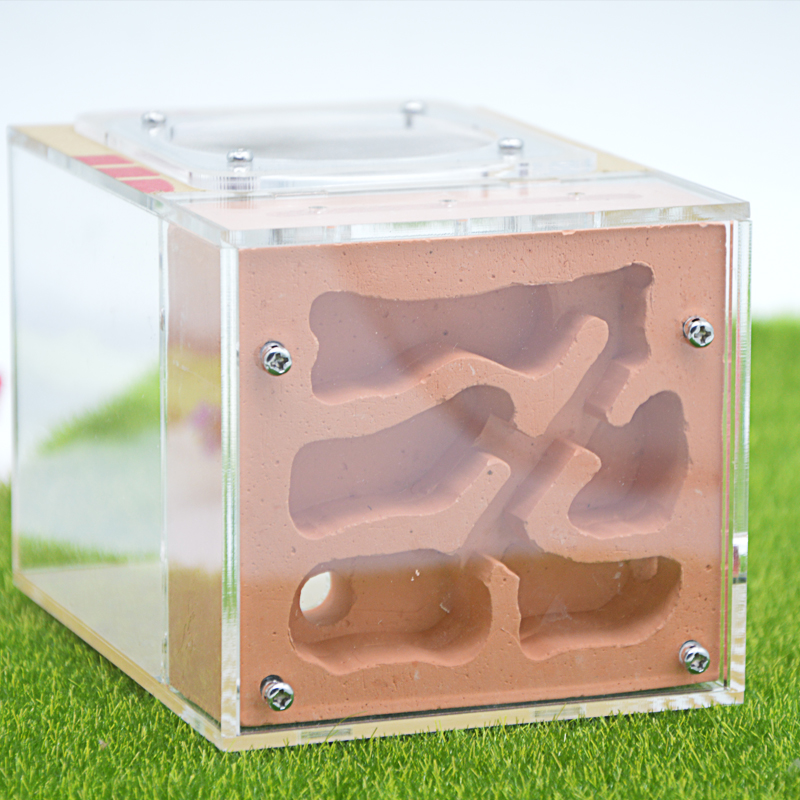 Acrylic & Gypsum Ants-Farm Ants Nest With A Whole Cover Longer Time To Keep Water 10*13*9.5cm