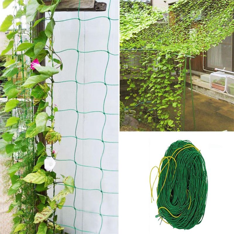 Tuin Planten Klimmen Netto Plastic Nylon Morning Glory Bloem Wijnstok Netting Groeien