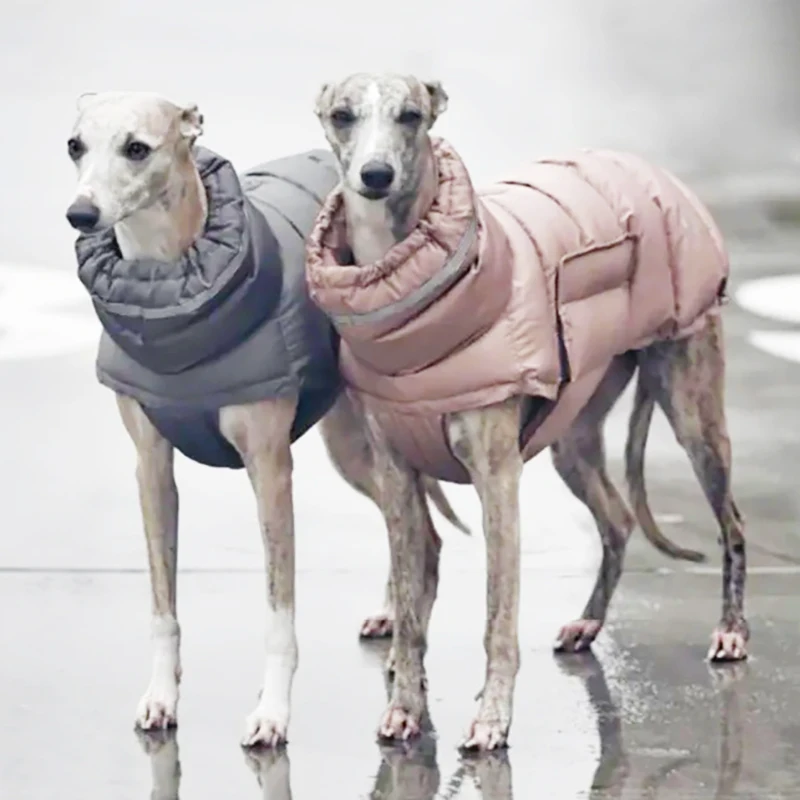 Haustier Hund Winter Warme Mantel Kleidung Daunenjacke Wasserdichte Fleece Weste Verdicken Mantel Kleidung für Hunde Welpen Katzen Haustier kostüm