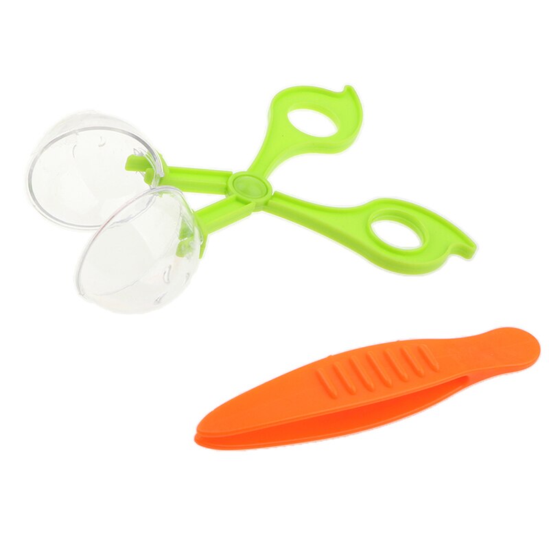 conjunto de herramientas de estudio de biología de insectos y plantas escolares para niños, pinzas de sujeción de tijera de plástico, bonito Kit de exploración de naturaleza para niños