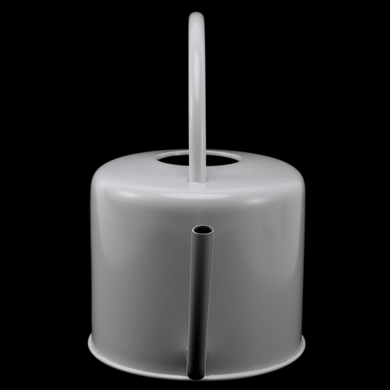 Regadera de acero inoxidable de 1,3 L, surtidor largo para plantas en interiores, dispositivo de riego de botellas, bonsái, herramienta de jardín
