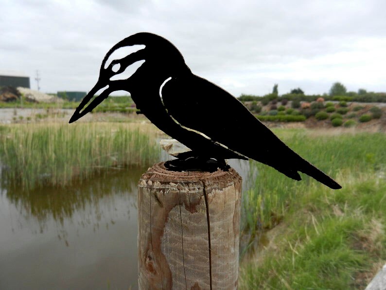 Zwarte ijsvogel tuindecoratie van metaal voor hek