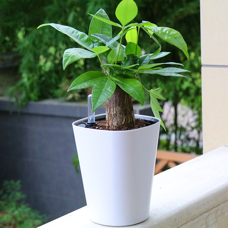 Automatic Flower Plants Pot PP Self Watering Planters Indoor Nursery Pot: A2 / XL 140X180MM