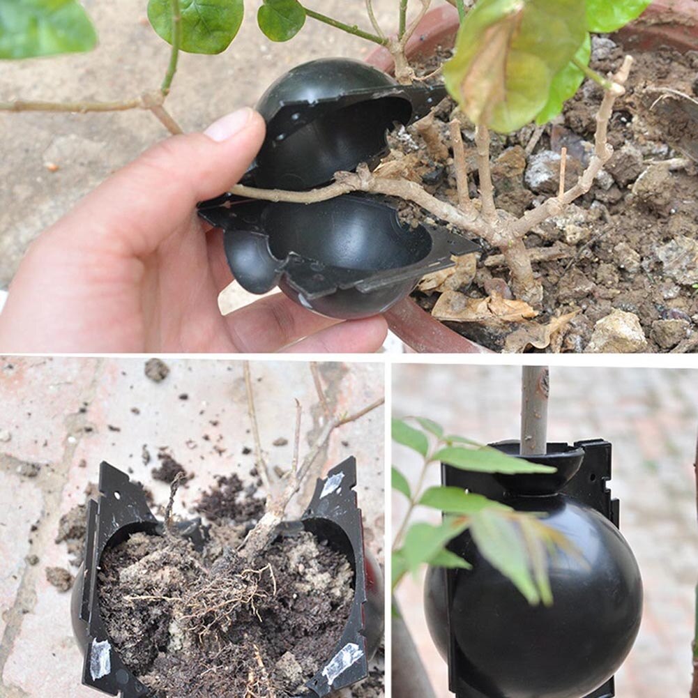 S/M/L Bola de enraizamiento para plantas, Caja de cultivo para injertos, caja de cría para jardín, bolsa de plástico para flores, caja de vivero