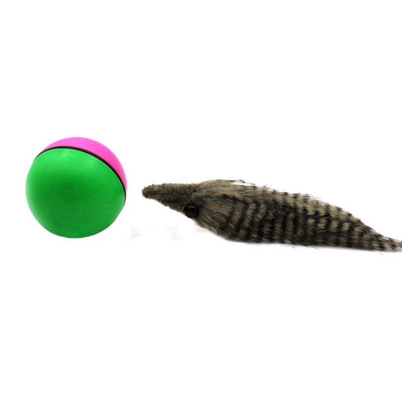 rollen Jagen Interaktive Spielzeug Haustier Katze Hund Spielzeug Elektrische Teaser Ball Wiesel Aktivierung Ball freundlicher Haustiere Lustige Biber Spielzeug #27