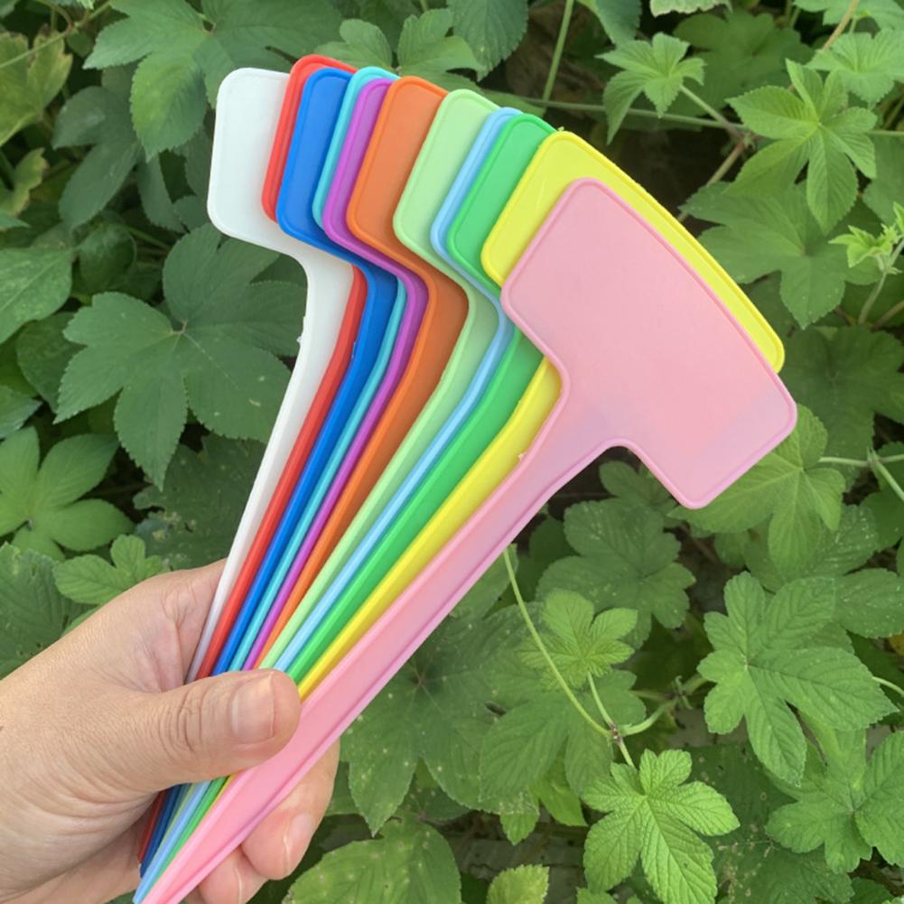 10 sztuk/zestaw 20cm etykiety na rośliny wodoodporna konstrukcja wkładki w kształcie litery T plastikowe znaczniki na rośliny klasyfikacja znak sortowania bilet robić ogrodnictwa