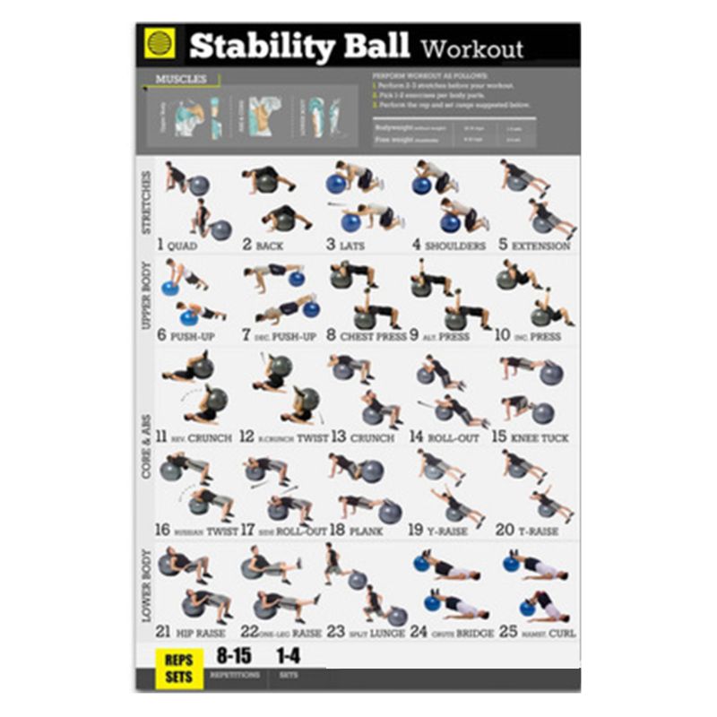Oefening Workout Poster Lichaamsgewicht Yoga Workout Stabiliteit Bal Halter: 8YY601367-6
